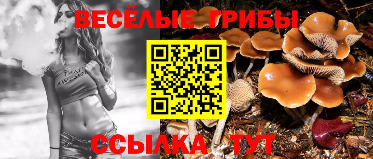 Галлюциногенные грибы ЛСД Урус-Мартан