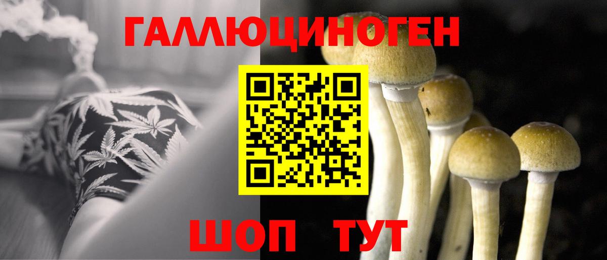 Урус-Мартан  Галлюциногенные грибы прущие грибы  Вход с VPN 